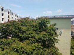 Blk 20 Jalan Klinik (Bukit Merah), HDB 3 Rooms #579156021